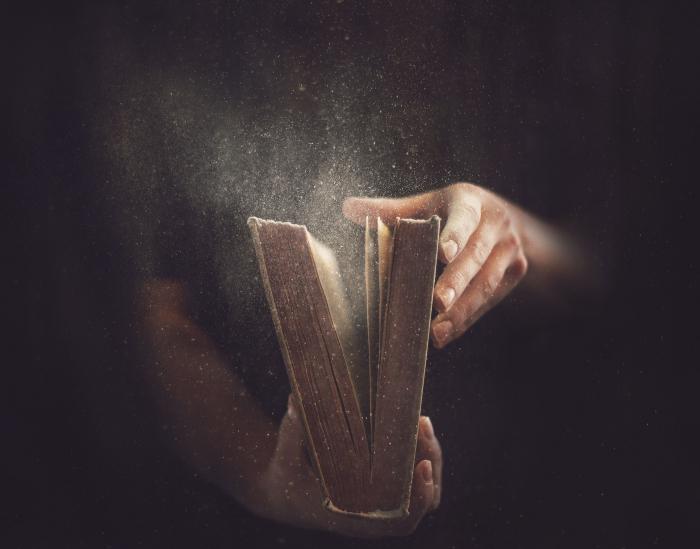 Фото Сонник дорожная сумка с вещами #3