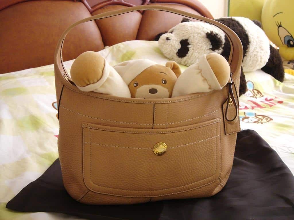 Фото Сонник потерять сумку с документами #2